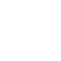 White background with no visible objects or features.