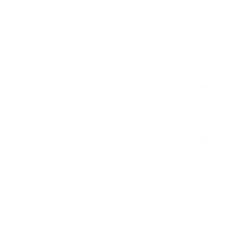 White background with no visible objects or features.