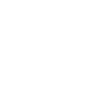 White background with no visible objects or text.