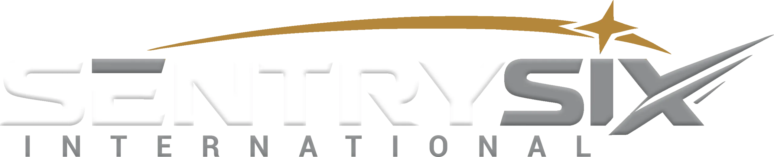 Sentry Six International logo with stylized text and star design.
