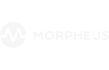 Grey logo on white background with a circle and squiggly line next to the word Morpheus.